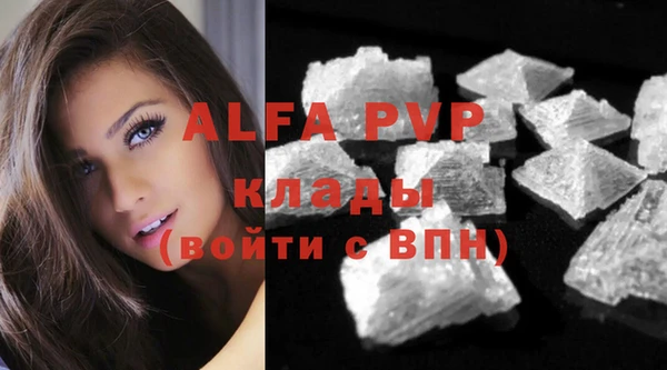 шишки Арсеньев