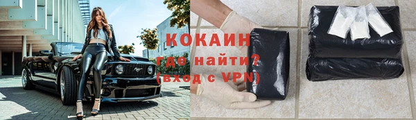 шишки Арсеньев