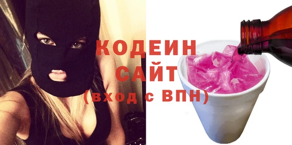 шишки Арсеньев