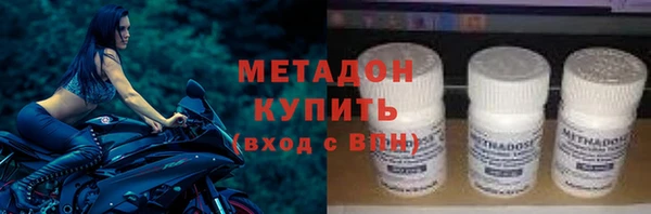 шишки Арсеньев