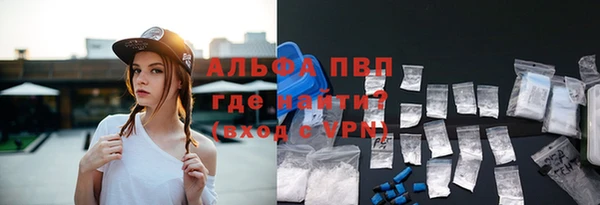 шишки Арсеньев