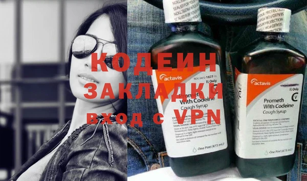 шишки Арсеньев
