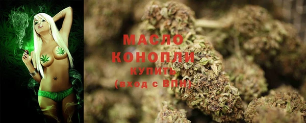 шишки Арсеньев