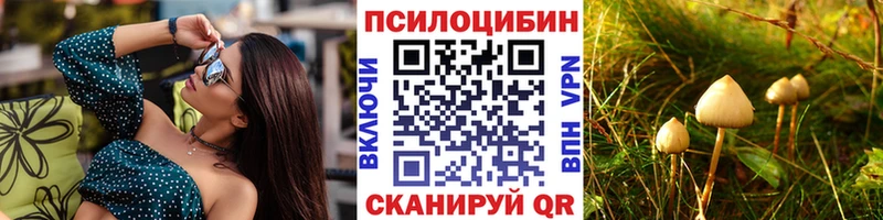 OMG вход  Полярные Зори  Галлюциногенные грибы Psilocybine cubensis 